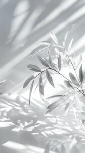 S16 168x300