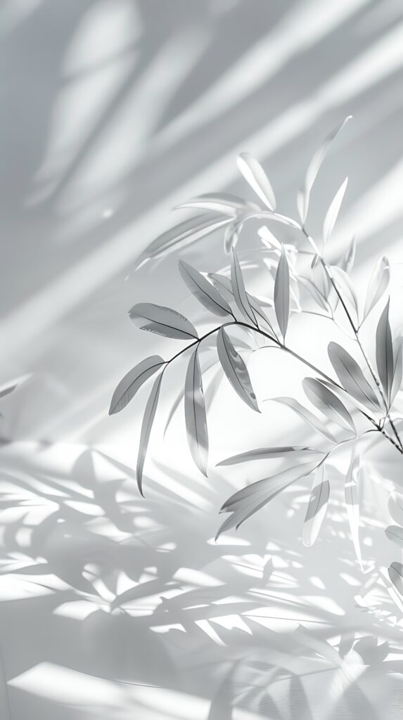 Zen Shadow Minimalist 4K s16