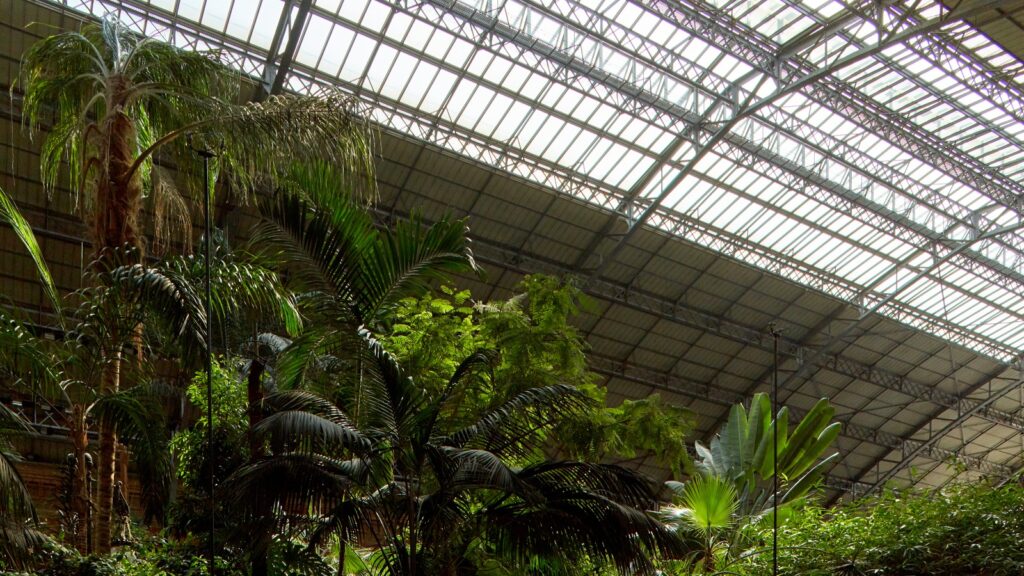 The Glasshouse Oasis s22